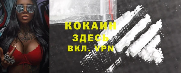 молекула духа Бежецк