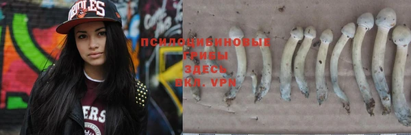 гашик Мегион