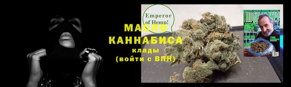 гашик Мегион