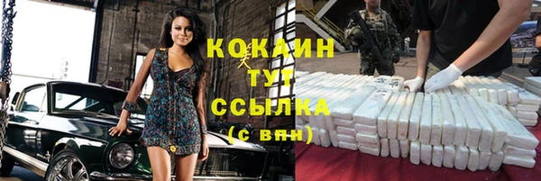 крисы Майский