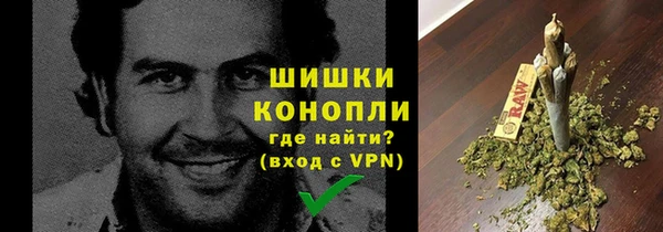 гашик Мегион