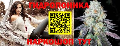 бошки Гай