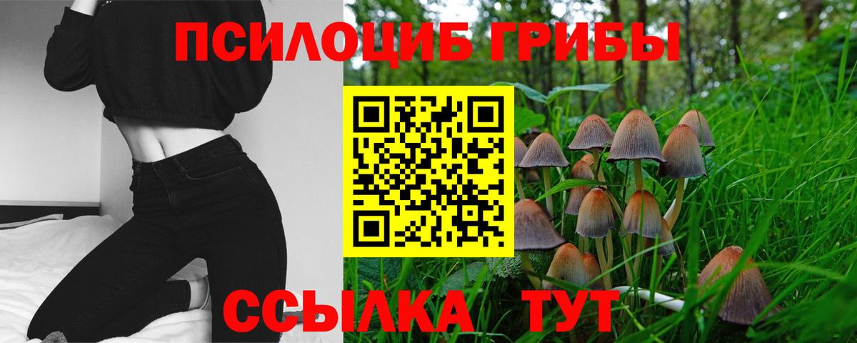 Экстази  Михайловск  Продажа наркотиков  Вход с VPN  Гашиш  КЕТАМИН  Меф МЯУ МЯУ кристаллы  МАРИХУАНА 
