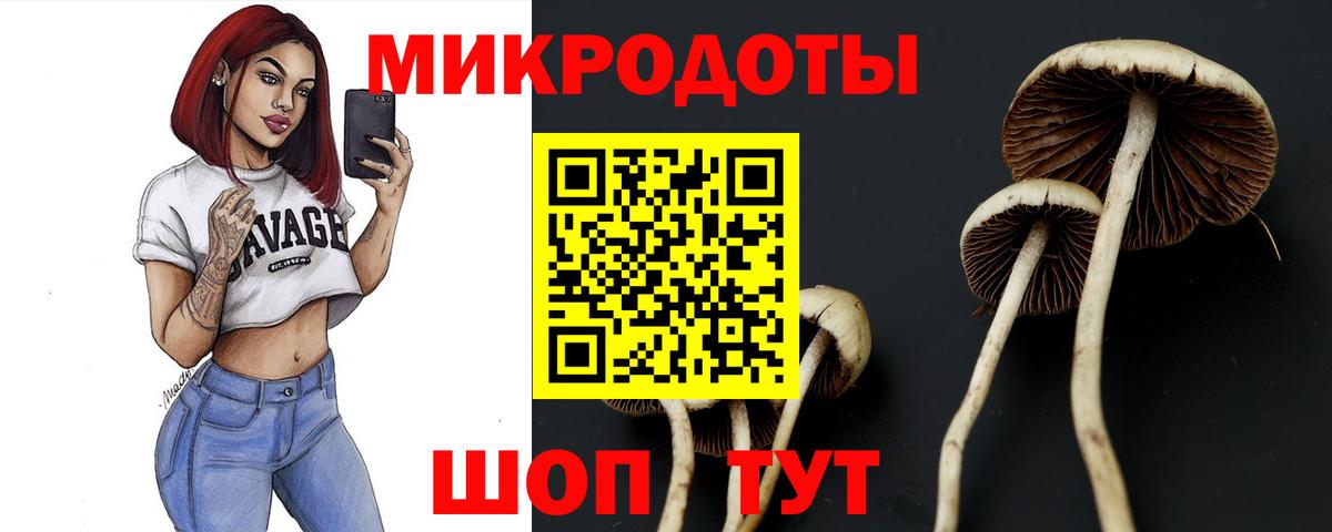 Галлюциногенные грибы Psilocybe  Вход с VPN  Псилоцибиновые грибы Cubensis  Михайловск 
