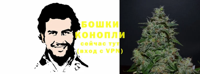 shop клад  Михайловск  блэк спрут ссылки  Конопля LSD WEED  закладки 